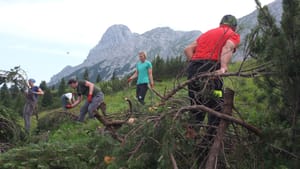 Almpflege auf der Ladizalm