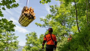 Diese Woche in Bad Tölz: Weiße Nacht, Alpenfilmfestival, die Glentleiten wird 50